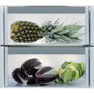 Kodumasinad | Integreeritav jahekülmik Whirlpool ARG18082 | Tehnomaan