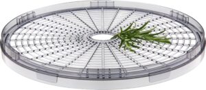 Kodumasinad | Toidukuivataja Sencor SFD3109BK | Tehnomaan