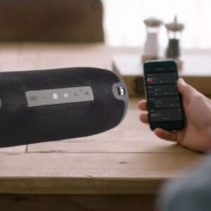 Kaasaskantav Bluetooth kõlar Manta SPK15GOBK - Image 6