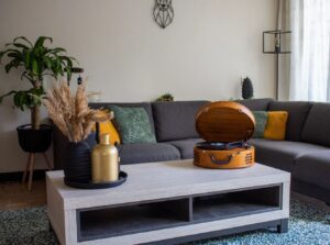 Kodumasinad | Vinüülplaadimängija kohvris, retro Lenco TT34, pruun | Tehnomaan