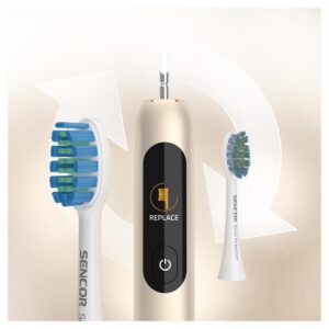 Kodumasinad | Elektriline hambahari Sencor SOC5011GD | Tehnomaan