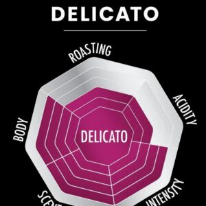 Kodumasinad | Jahvatatud kohv Bialetti PERFETTO MOKA DELICATO 250g 096080356 | Tehnomaan