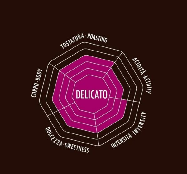 Kodumasinad | Kohvioad Delicato 500g Bialetti 096080390 | Tehnomaan