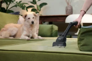 Hoover HE120PET 011 - Image 7