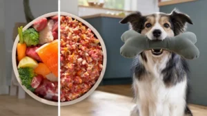 Bosch MFWS640B - Image 10