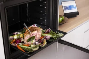 Juhtmevaba lihatermomeeter - Image 6